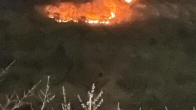 Photo of धू-धू कर जल रही गजमार की चट्टानेदावानल को रोक पाने में विफल मुख्यालय का वनअमला