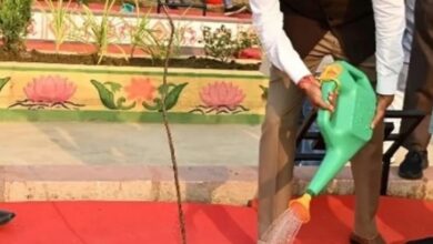 Photo of पर्यावरण मंत्री ओपी चौधरी ने पर्यावरण दिवस पर प्रदेश की जनता को दी बधाई